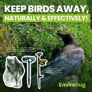 Crow Repellents and Deterrent Products image